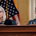 REPUBLICAN’S DECLARE THE JAN 6th INSURECTION “LEGITMATE POLITICAL DISCOURSE” Republican Representatives Liz Cheney and Adam Kinzinger 4